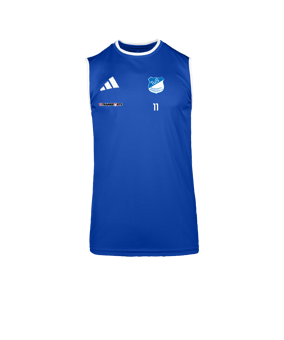 adidas Entrada 26 Trikot Blau