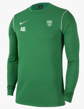Nike Park 20 Sweatshirt Kids Grün F302