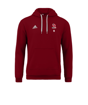 Sweat à capuche adidas Entrada 22 Rouge 