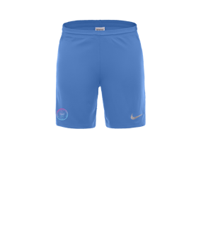 Nike Park III Court Bleu C412 