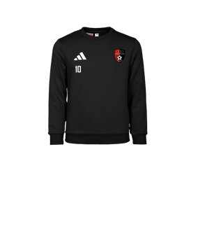 adidas Entrada 26 Sweatshirt Kids Schwarz