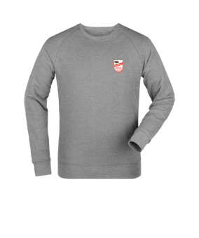 Merch Roller Sweatshirt Heather Grey | #logo4c