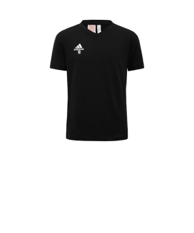 T-shirt enfants adidas Entrada 22 noir 