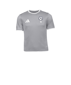 adidas Entrada 26 Maillot Enfants Gris 
