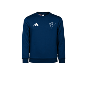 adidas Entrada 26 Sweatshirt Kids Blau
