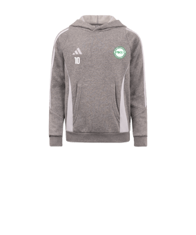 Sweat à capuche adidas Tiro 24 enfants gris blanc 