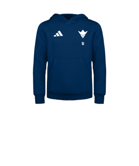 adidas Entrada 26 Sweatshirt à capuche Enfants Bleu