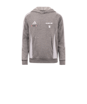 adidas Tiro 24 Hoody Kids Grau Weiss