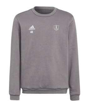 adidas Entrada 22 Sweatshirt Kids Grau