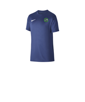 Nike Park VII Trikot kurzarm Kids Blau F410