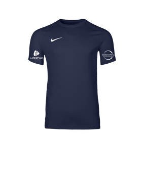 Nike Park VIII Trikot Blau F410