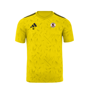 Maillot adidas équipe Icon 25 jaune 
