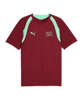 PUMA SFV Schweiz Trainingsshirt Rot F09 - rot