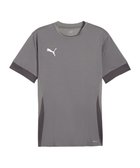 PUMA teamGOAL Matchday Trikot Grau Weiss F13 - grau