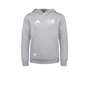 adidas Entrada 26 Hoody Kids Grau