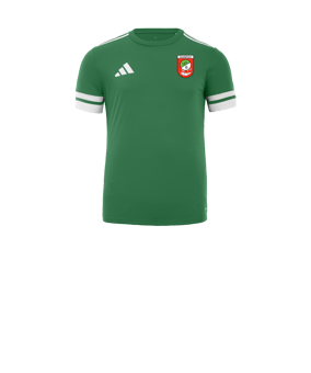 adidas Squadra 25 Trikot Kids Grün