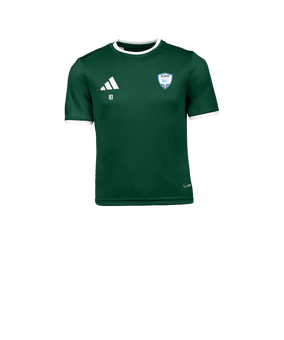 adidas Entrada 26 Maillot Enfants Vert 