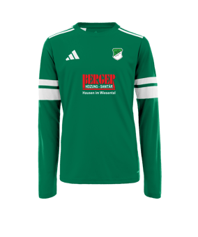 adidas Squadra 25 Trikot Langarm Grün