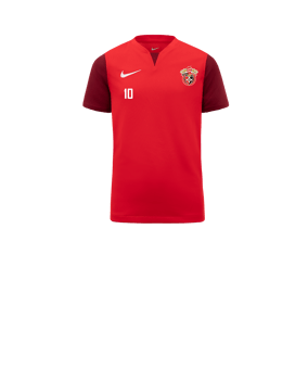 Nike Trophy V Trikot Kids Rot F657