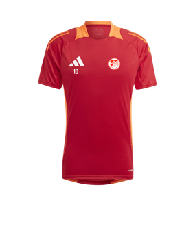 adidas Tiro 24 Competition Training Trikot Rot