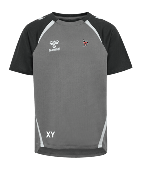 Hummel Trikot Kids Grau F1268
