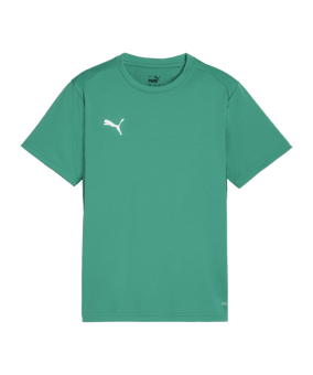 PUMA teamGOAL Trikot Kids Grün F05 - gruen