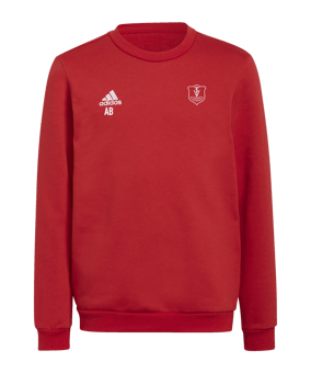 adidas Entrada 22 Sweatshirt Kids Rot