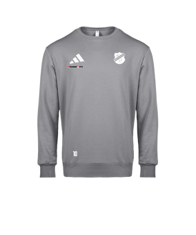adidas Entrada 26 Sweatshirt Grau
