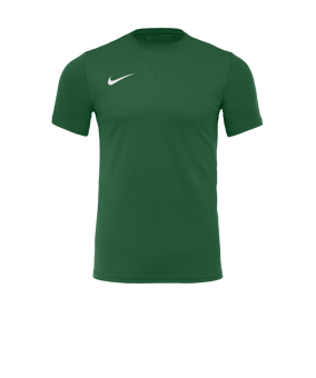 Nike Park VII Trikot kurzarm Grün F302