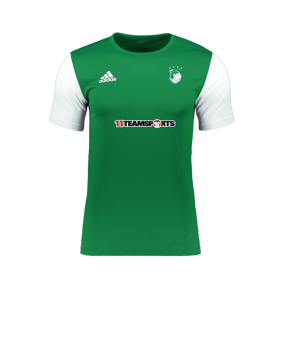 adidas Estro 19 Trikot kurzarm Grün Weiss