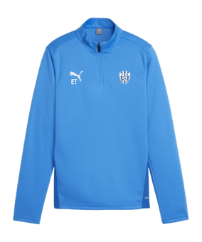 PUMA teamGOAL Training 1/4 Zip Sweatshirt Kids F02
