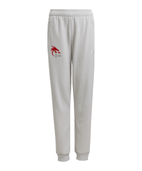 adidas Tiro 25 Travel Trainingshose Kids Grau
