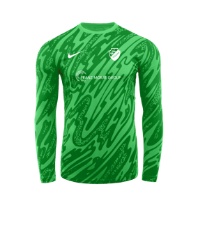 Nike Gardien V Torwarttrikot Grün F329