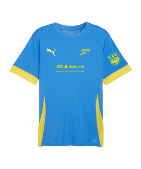 PUMA teamGOAL Matchday Trikot Blau Gelb F16
