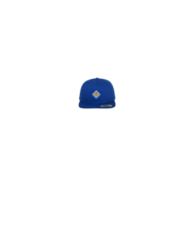 Merch 5 Panel Classic Snapback Cap Royal Green