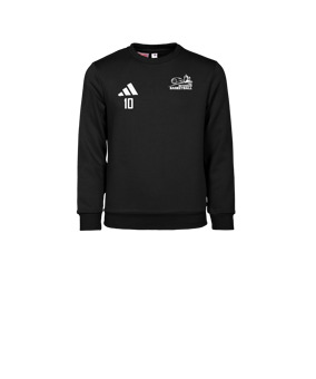 adidas Entrada 26 Sweatshirt Kids Schwarz