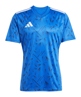 adidas Team Icon 25 Trikot Hellblau - blau