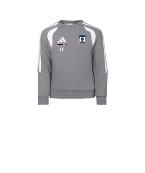 adidas Tiro 26 League Sweatshirt Kids Grau