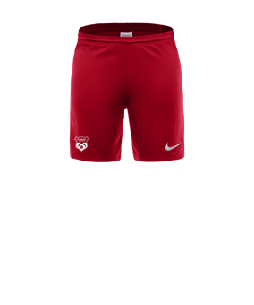 Nike Park III Pantalones cortos Rojo C657 