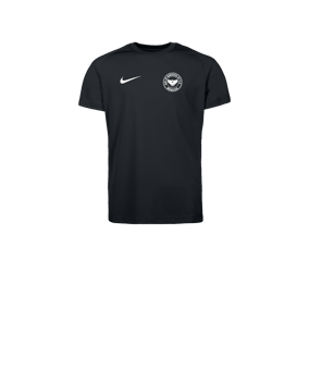 Nike Park VIII Trikot Kids Schwarz F010