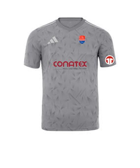 adidas Team Icon 25 Trikot Grau
