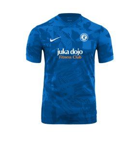 Nike Precision VII Trikot Blau F463