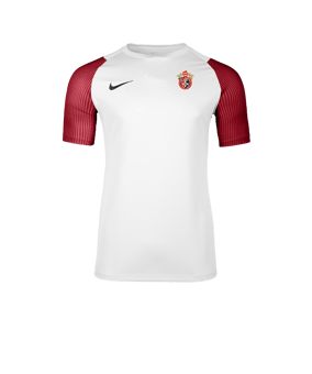 Nike Academy II Trikot Weiß F102