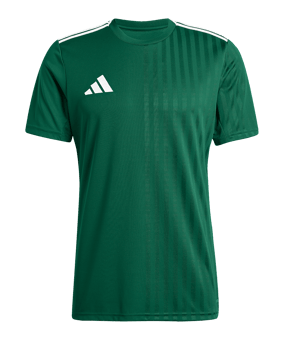 adidas Campeon 25 Trikot Grün - gruen