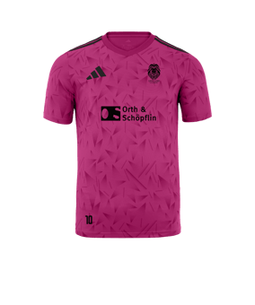 adidas Team Icon 25 Trikot Rosa