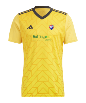 adidas Team Icon 23 Trikot Gold