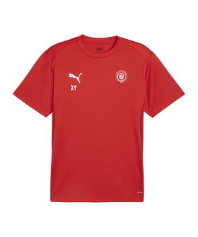 PUMA teamGOAL Trikot Rot F01