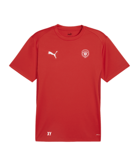 PUMA teamGOAL Trikot Rot F01