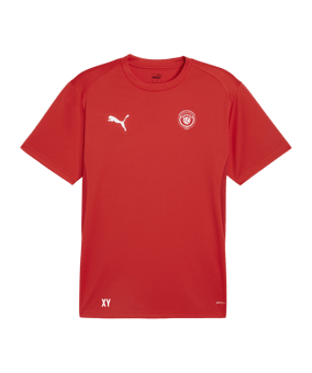 PUMA teamGOAL Trikot Rot F01
