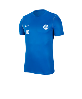 Nike Park 20 Training Shirt Blau F463